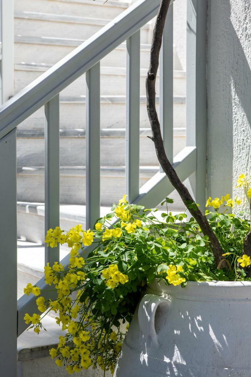 Secret Garden Apartments Mykonos Town Eksteriør billede