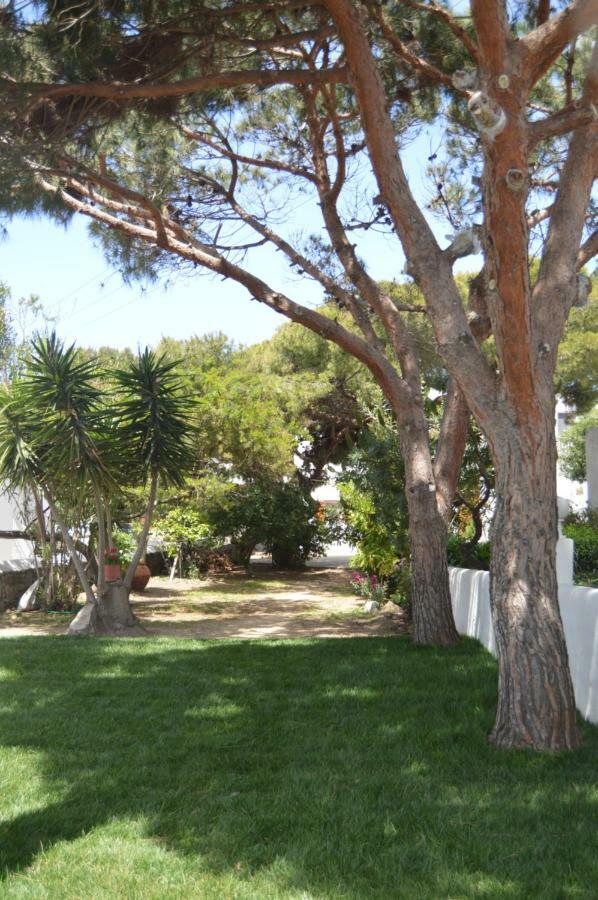 Secret Garden Apartments Mykonos Town Eksteriør billede
