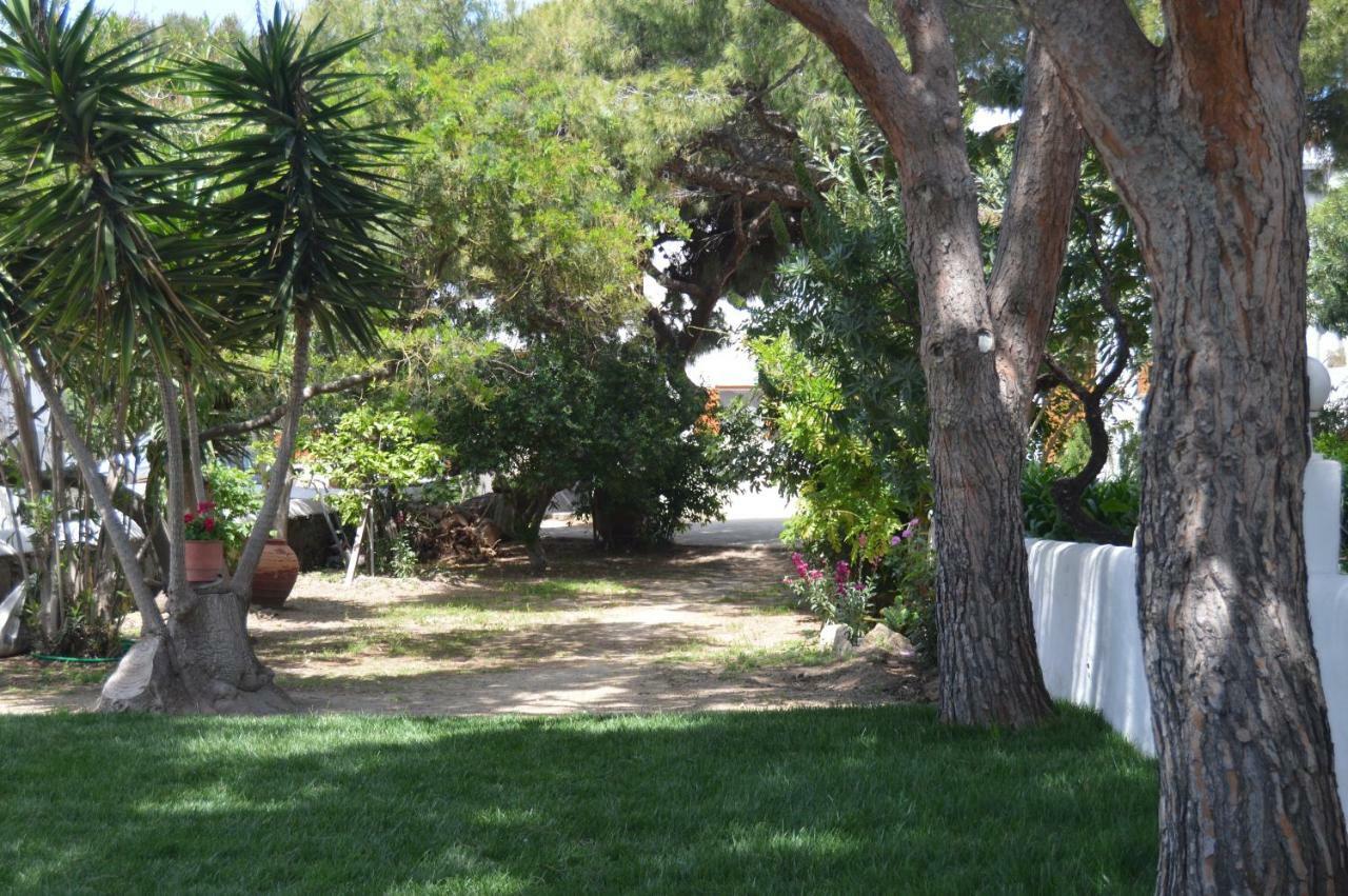 Secret Garden Apartments Mykonos Town Eksteriør billede